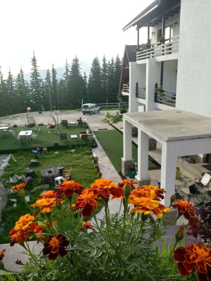 Cetina Hotel รานกา ภายนอก รูปภาพ